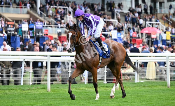 210825-132 Minnie Hauk - Race 4 3.35pm Pertemps Network Yorkshire Oaks