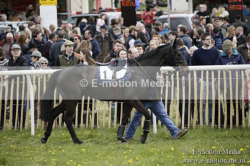 PtP 170417 55 - Old Berks Point-to-Point Lockinge 17/04/17