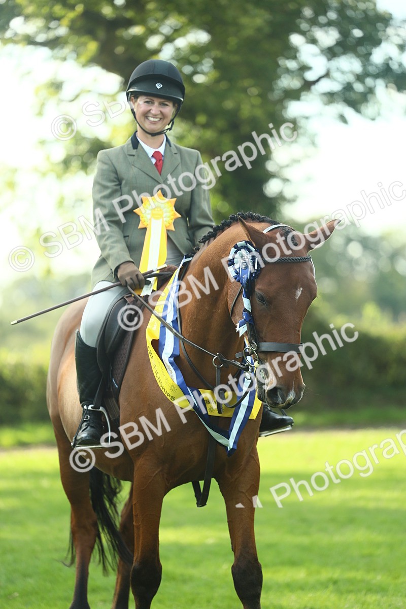 SBM_52326 - Working Hunter Supreme Championship