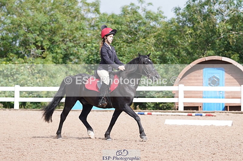 240809A-102344-00524 - Dressage Competition