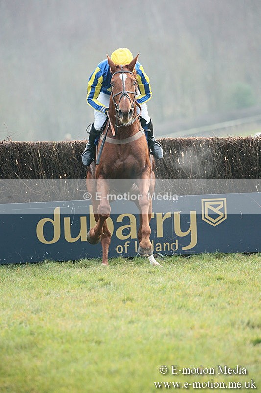PtP 251118-106 - Vine & Craven Point-to Point Barbury Racecourse 25/11/18