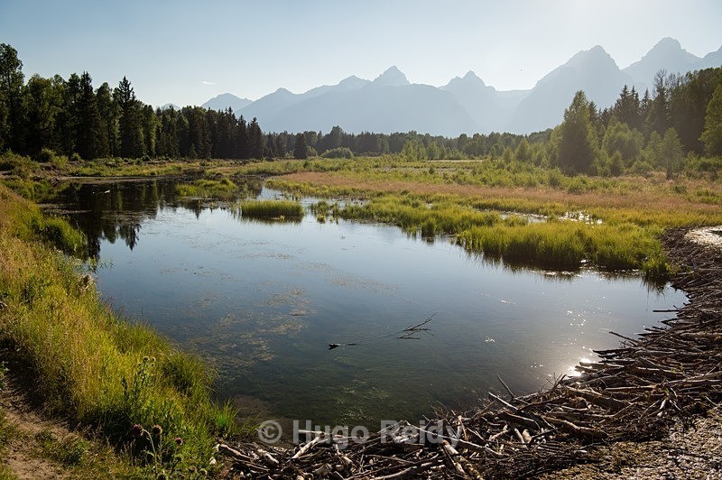  - Yellowstone