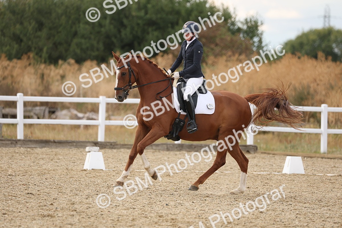 SBM_012004