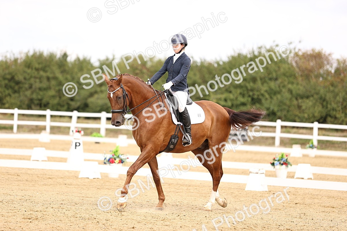 SBM_013004 - Class 2 - Advanced Medium 5 - 10.35-11.55