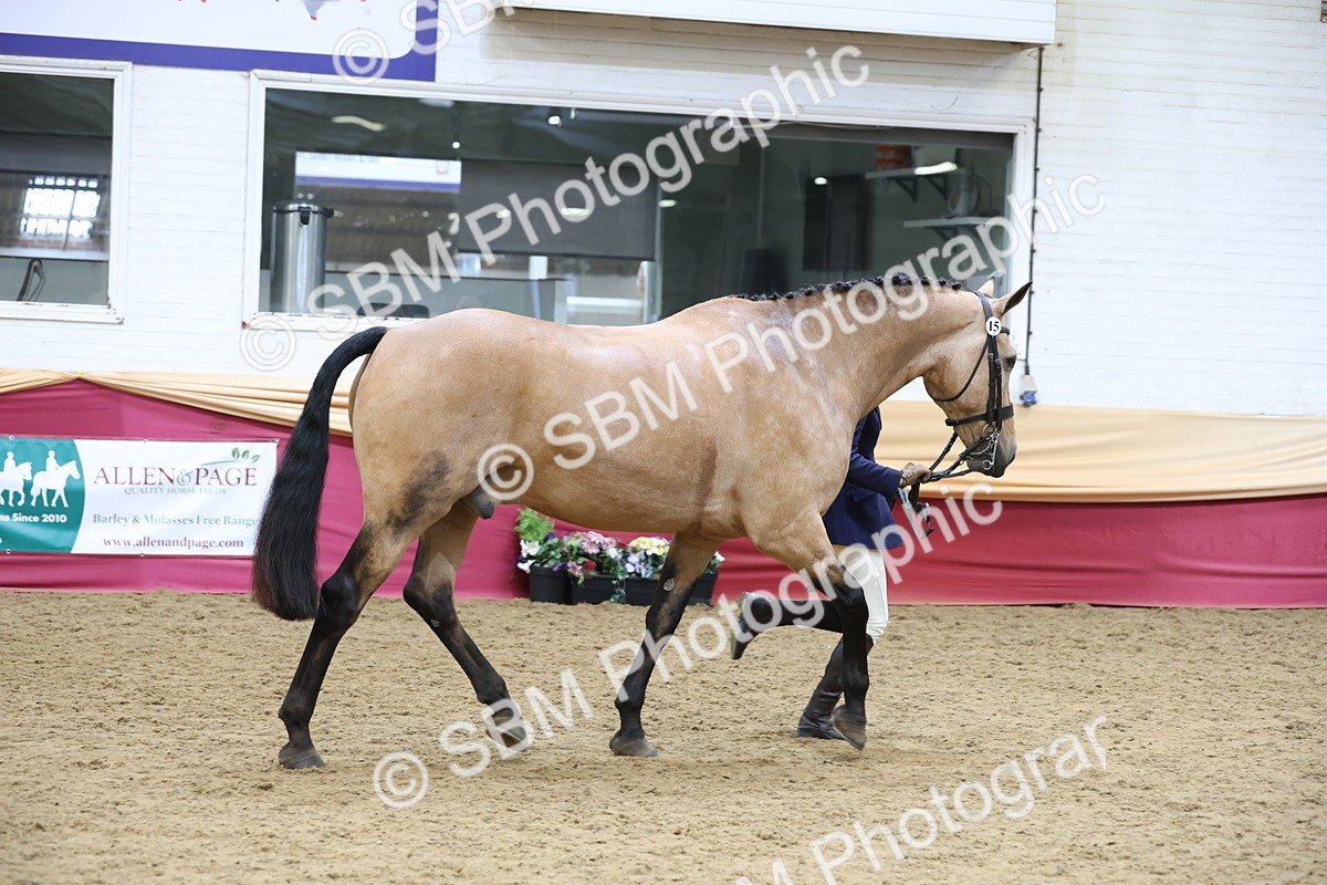 SBM_23659 - class 906 - Supreme Final - Ridden Pre Vet