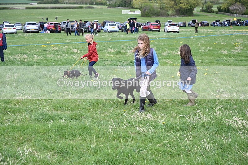 WJ6_8122 - Class 2 Best Pedigree