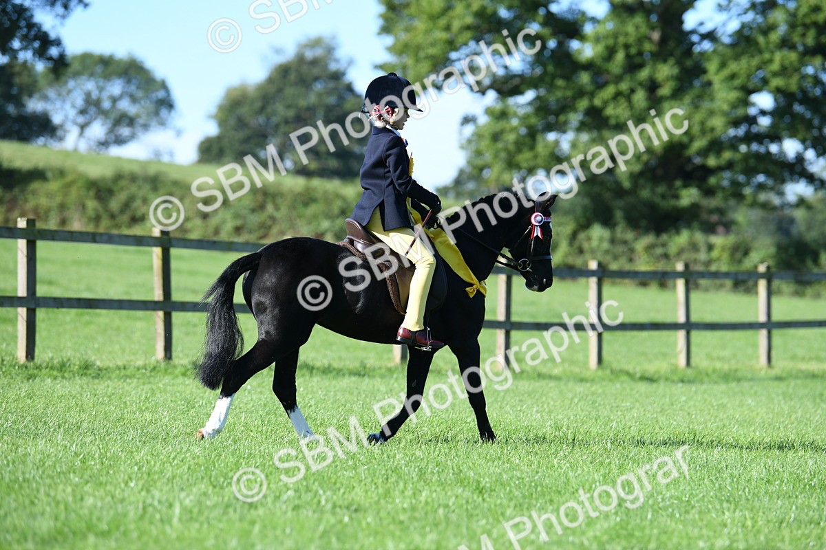 SBM_35550 - Top Turnout Supreme Championship