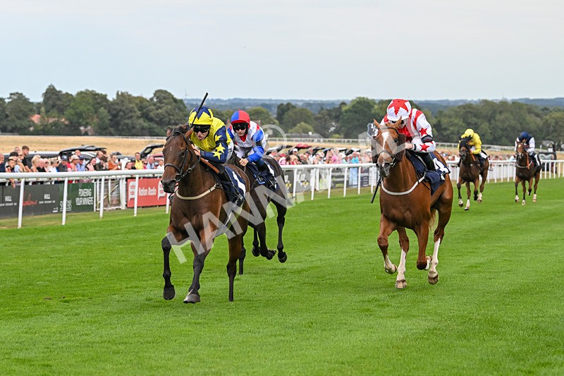 140825-Race 2-Lady Britain-0638 - Race 2
