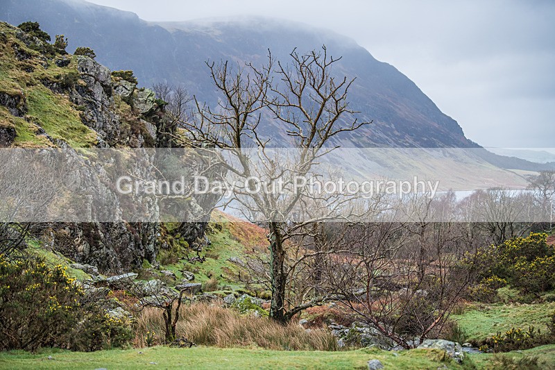 Buttermere-1 - Fellside Events Buttermere Trail Race Sunday 17th March 2024