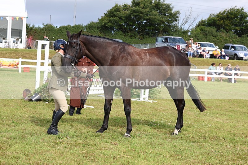 3E7A8999 - Class 3: Rising Star S/L Hunter