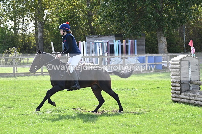 WJ7_8610 - 60cm Pairs