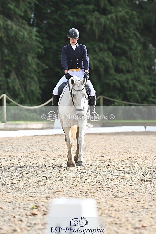 231019-144237-04580 - 126-DERRYS.LADY.LOU-Debbie.Townsend-DR