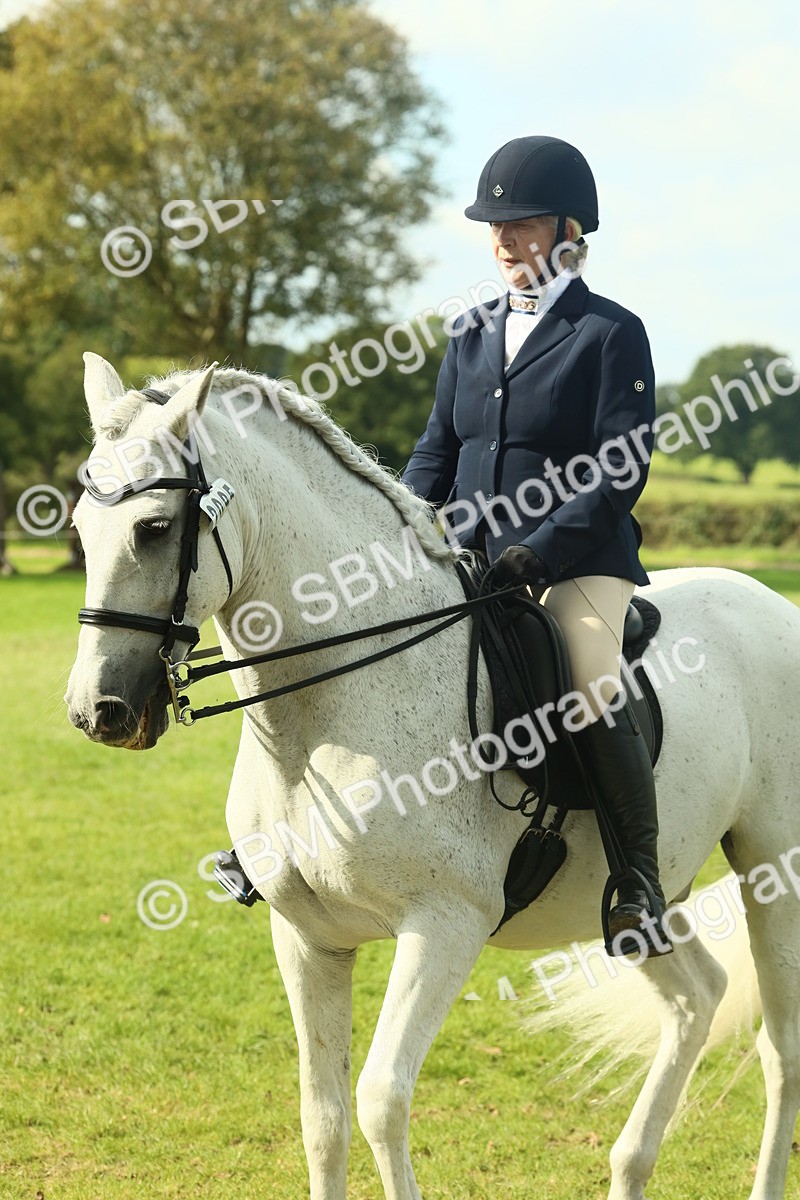 SBM_62508 - S62 - Foreign Breeds Ridden