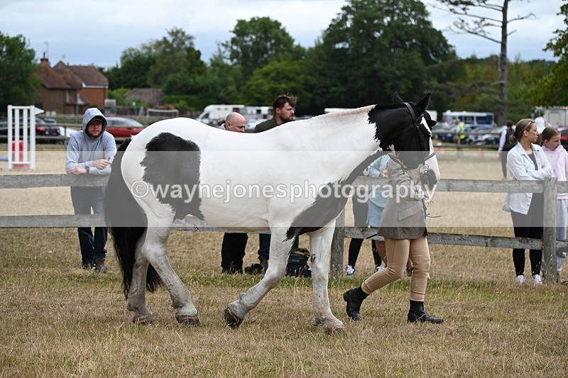 WJ6_8361 - Class 10 Coloured in Hand