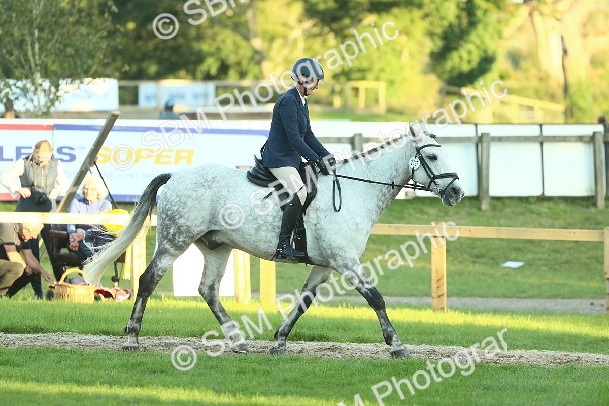 SBM_55591 - S14 - Riding Club Horse