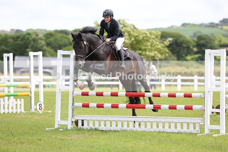 3E7A7458 - Class 13: Senior British Novice/90cm open
