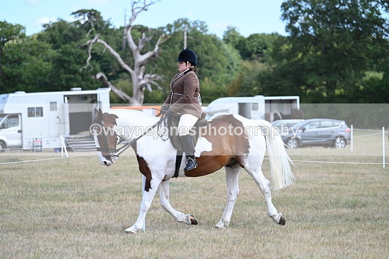 WJ7_6892 - Class 14 Ridden Coloured