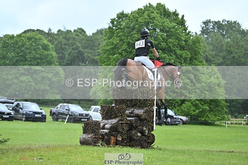 240526-134424-23066 - 443-FIGARO_DES_PREMICES-Alexander_Peternell