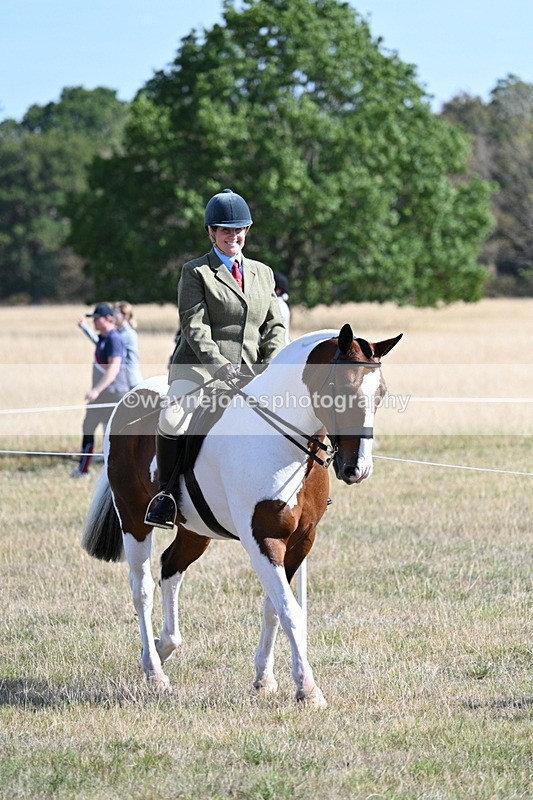 WJ7_3060 - Class 8 Ridden Tack & Turnout