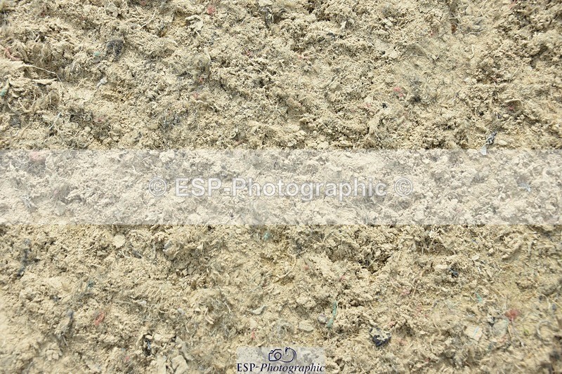 230812-161036-05463 - FEI PSG Bronze Presentations