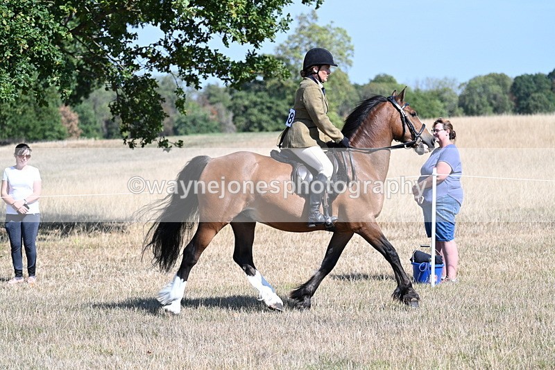 WJ7_3743 - Class 9 Mountain & Moorland Ridden