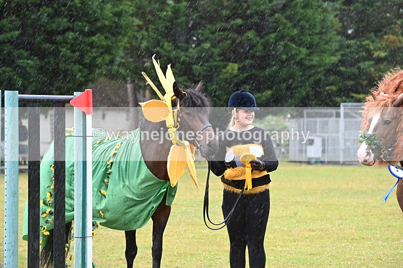 WJ6_9404 - Class 11 Fancy Dress