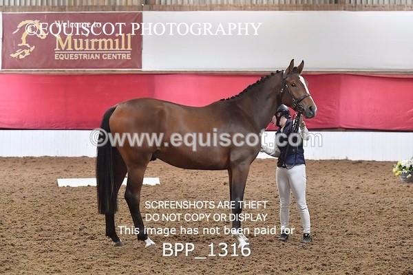 BPP_1316 - MORNING 9AM - 12PM