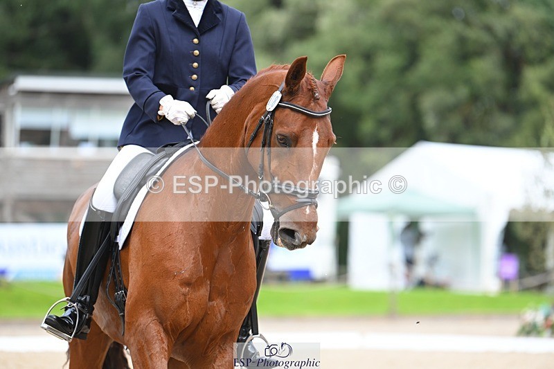 230813-135835-07656 - Cls 13 Medium Bronze 13.15 to End