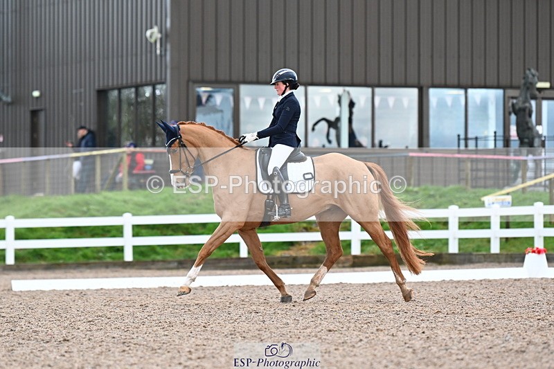 240218A-104036-06180 - 272-Beth.Bainbridge-Newton.Dreamcatcher