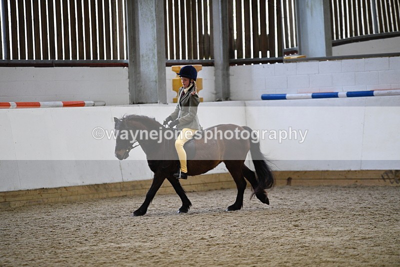 WJ5_6926 - Class 10 Childs Pony