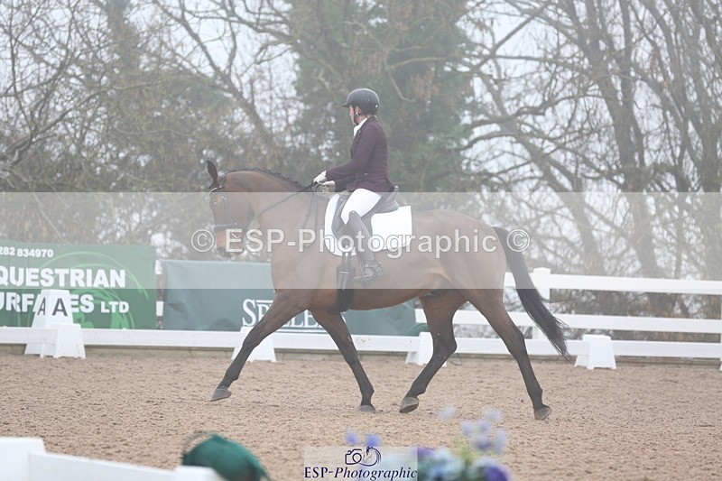 240217A-094118-00795 - 114-kelly.jewell-Juno.Watt