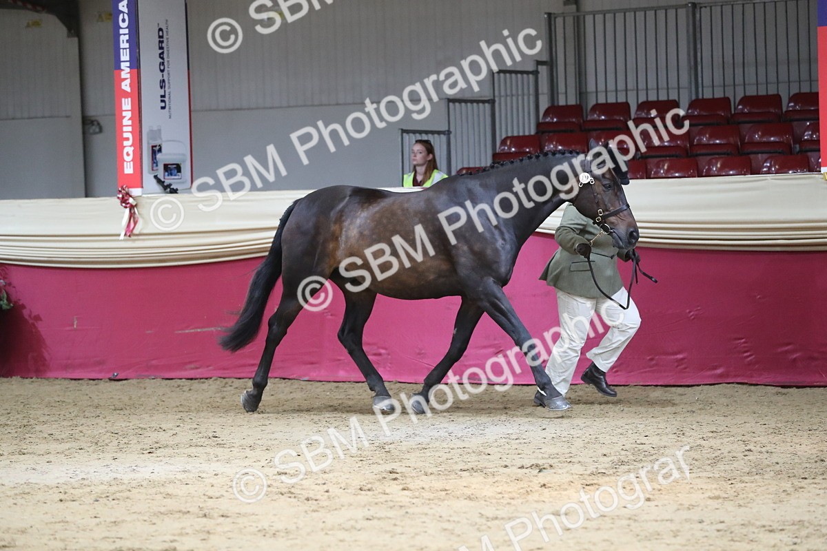 SBM_06253 - Class 9R Regional- IH Pre Vet