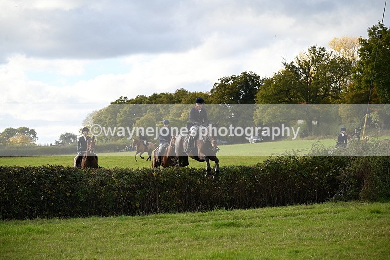 WJ6_5585 - Camera 1