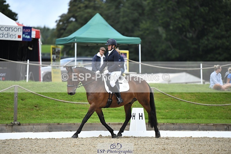 230812-125743-04247 - Cls 6 Novice Silver 12.10 to End