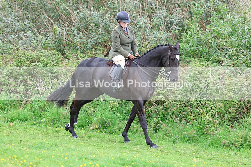 3E7A1134 - Class 7: Ridden Hunter Type