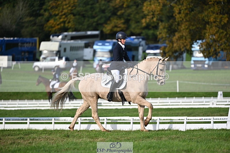 251024A-151115-13982 - E-395-Rolline.OCallaghan