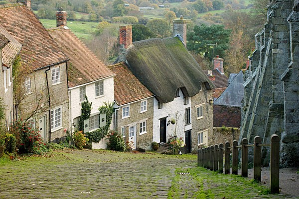 Gold Hill, Shaftesbury - Landscape