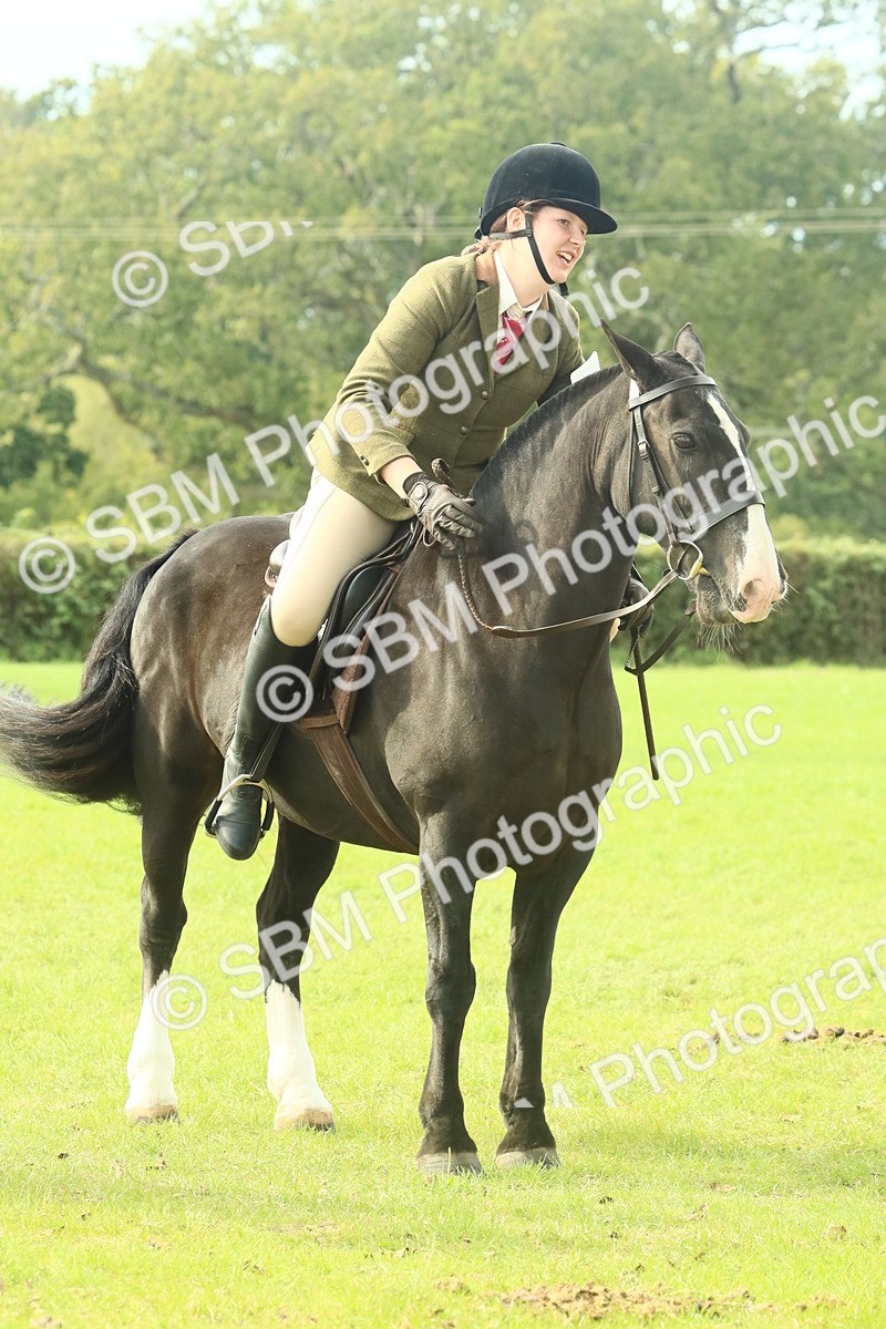 SBM_69375 - S58 - Mini Show Cob Ridden