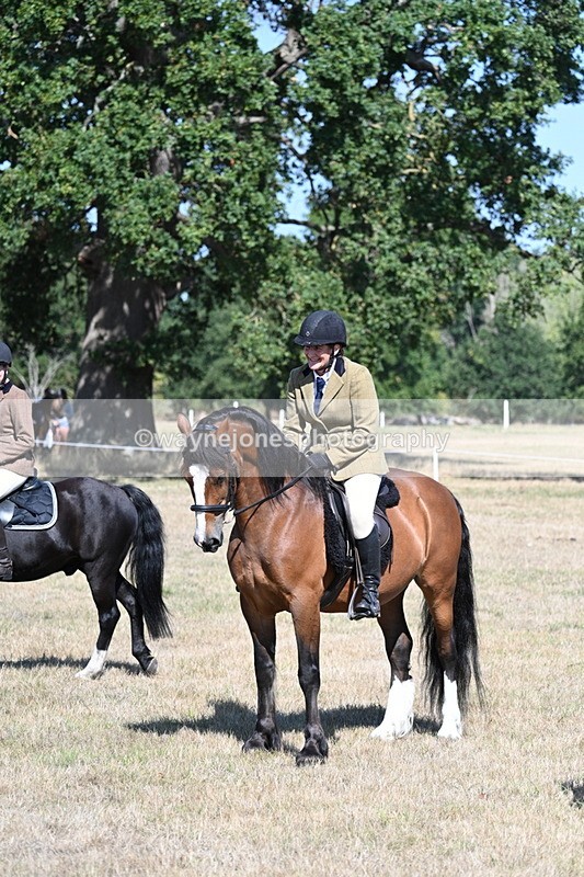 WJ7_4099 - Class 9 Mountain & Moorland Ridden