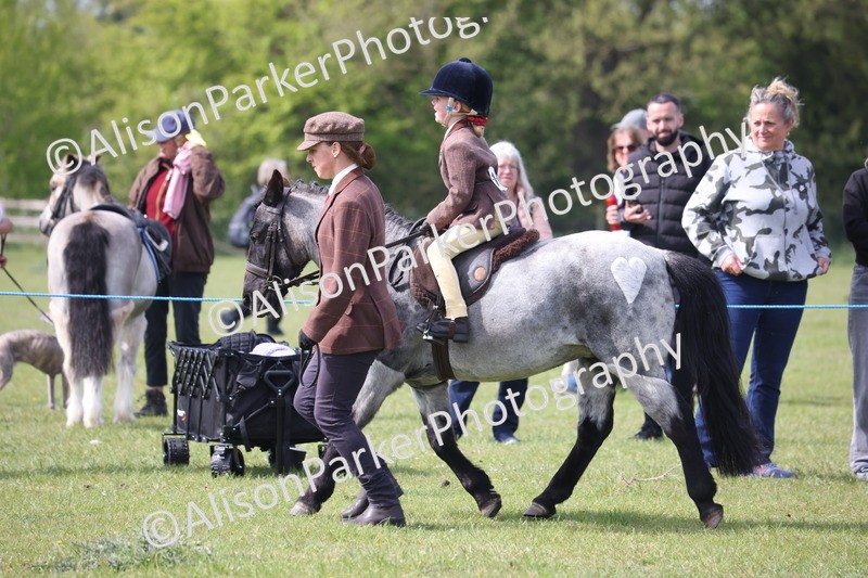 20260426-2604 - Class 31 - Leading Rein