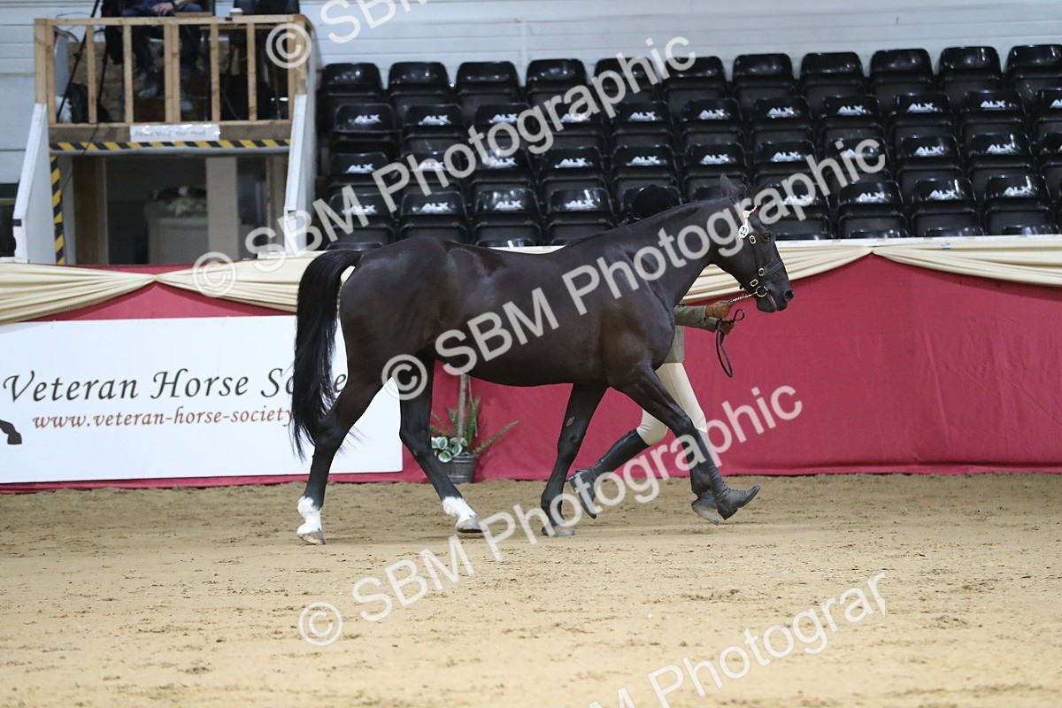 SBM_05035 - Class 8R- Regional -IH Veteran