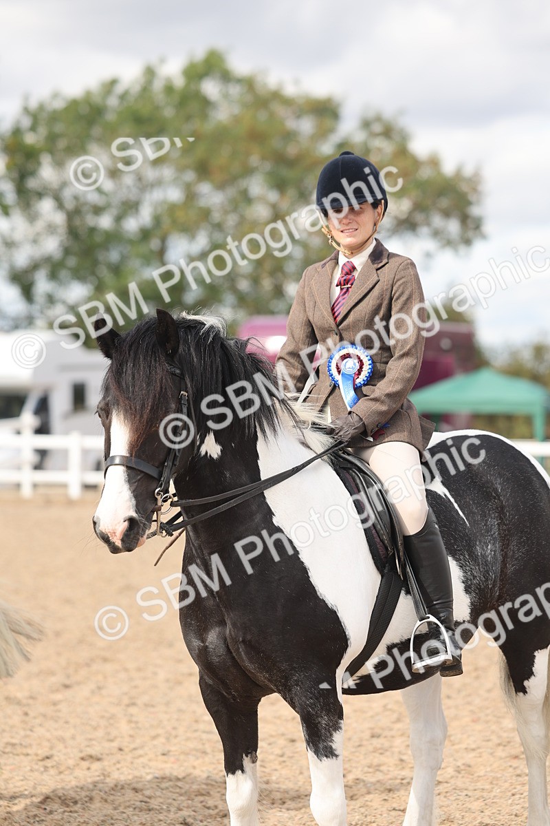 SBM_14690 - Class 307 - Ridden Coloured Pony