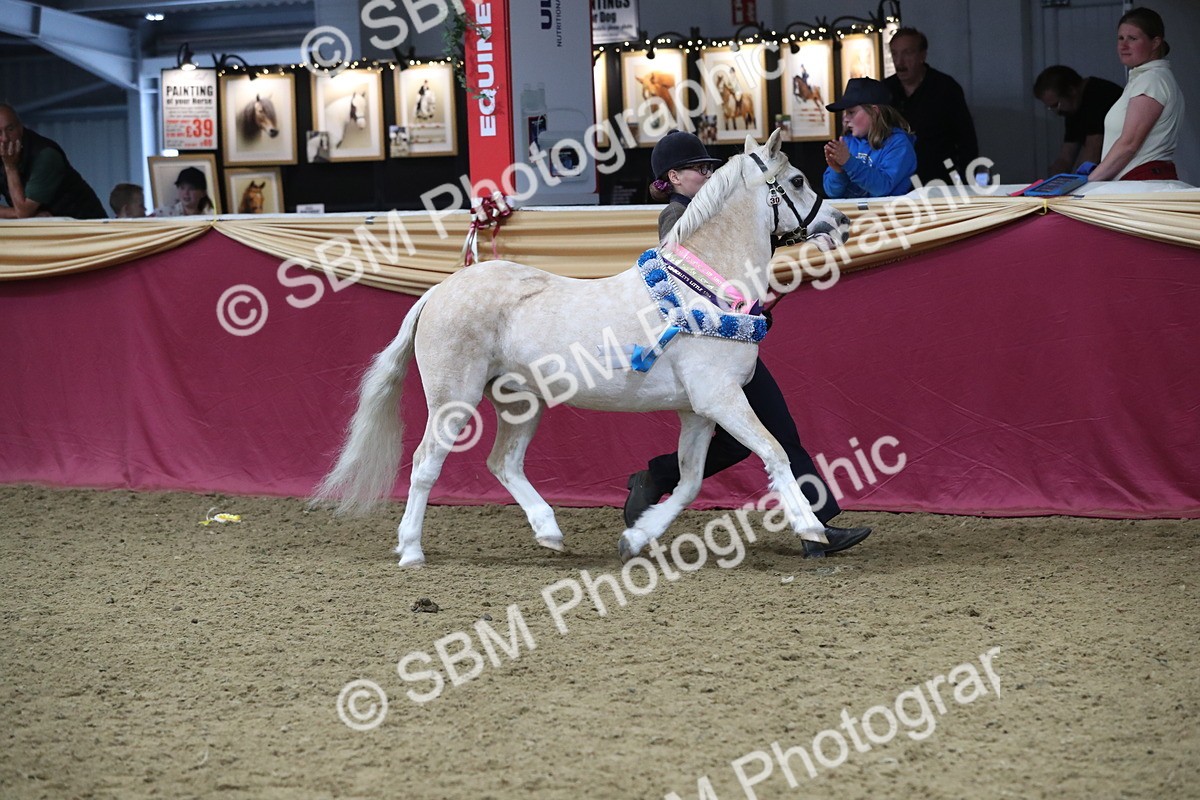 SBM_15464 - Class 501 M&M IH Supreme Final
