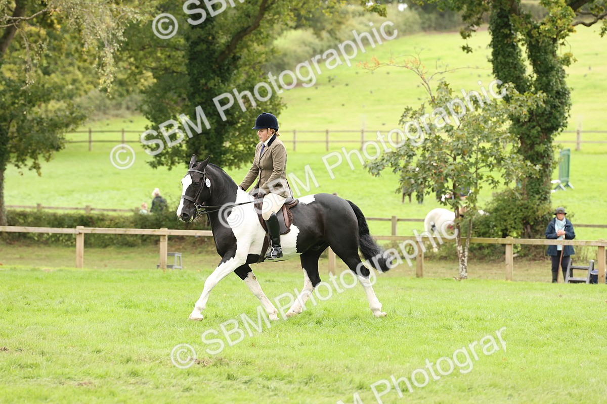 SBM_67257 - S67 - Piebald & Skewbald Horse Ridden