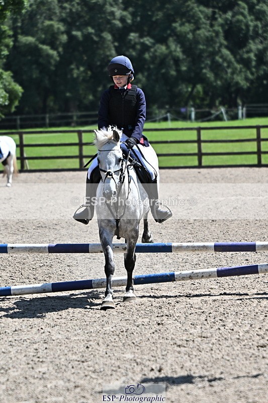 240729B-121518-02616 - Showjumping Competition
