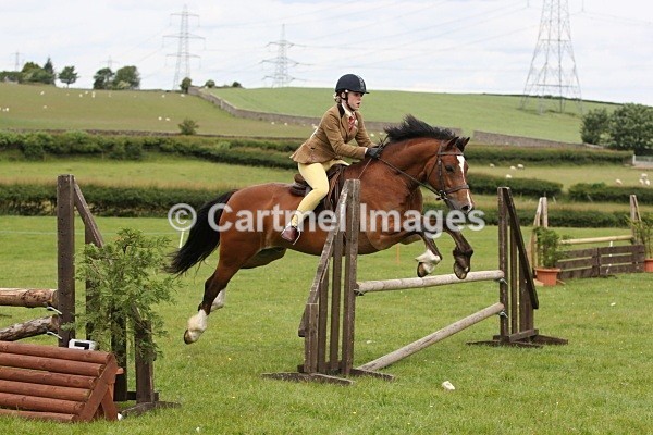 MBJ_3850 - Morecambe Bay Riding Club June 2011 - Working Hunter/Jumping Ring