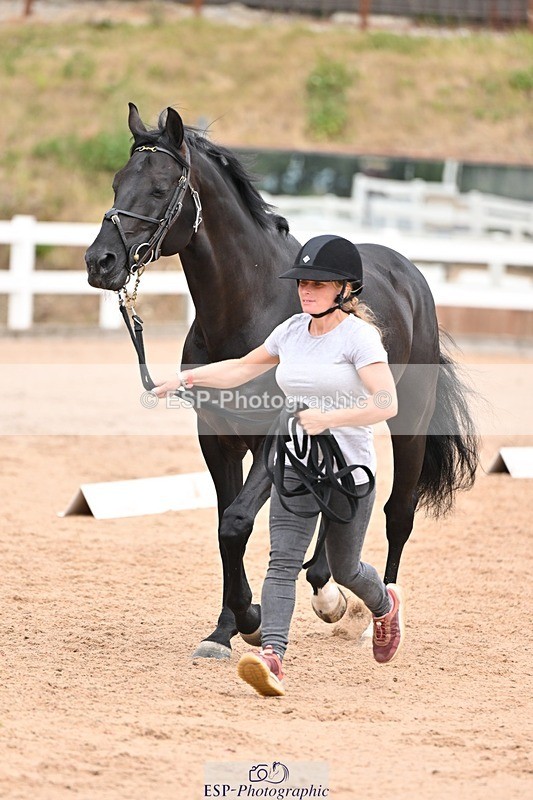 250716-143821-01252 - Trot Up 2.30 to 3.30