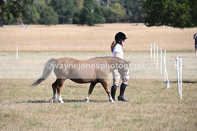 WJ6_7408 - Class 34 Judges Choice