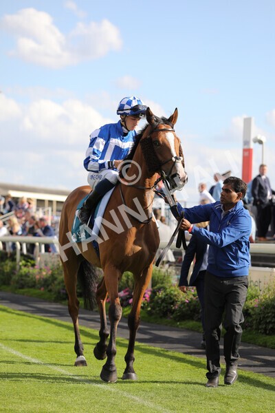 yr20082022r7-4 - Race 7 5.20pm Sky Bet Finale Stakes