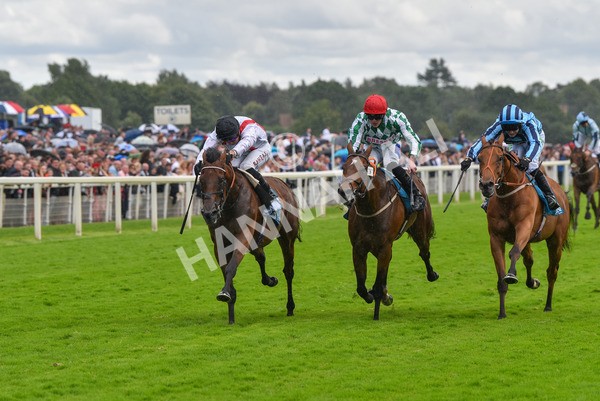 150723-Race 4-Hamish-8706 - Race 4 3.45pm John Smith's Silver Cup Stakes